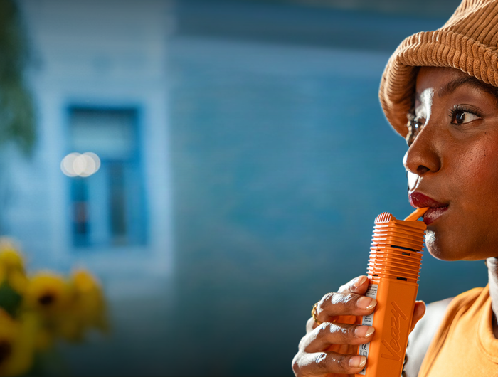 <h2>THE NEW <span style="text-decoration:underline">VEAZY</span></h2>